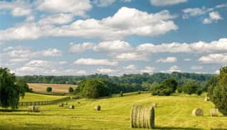Regional environmental coordination